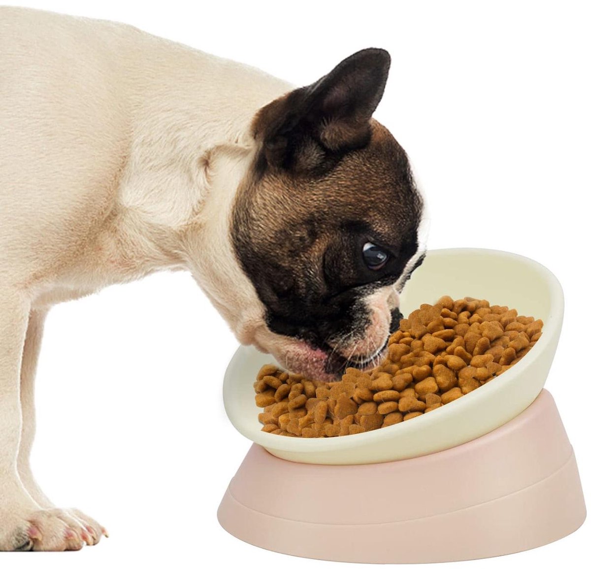 carmdering - Hondenvoerbak - Schuine voerbak - Antislip bak - Breed mondstuk,防lek, geschikt voor Franse bulldog en mopshond - Helpt tegen kokhalzen en een opgeblazen gevoel - Vaatwasmachinebestendig - Wit