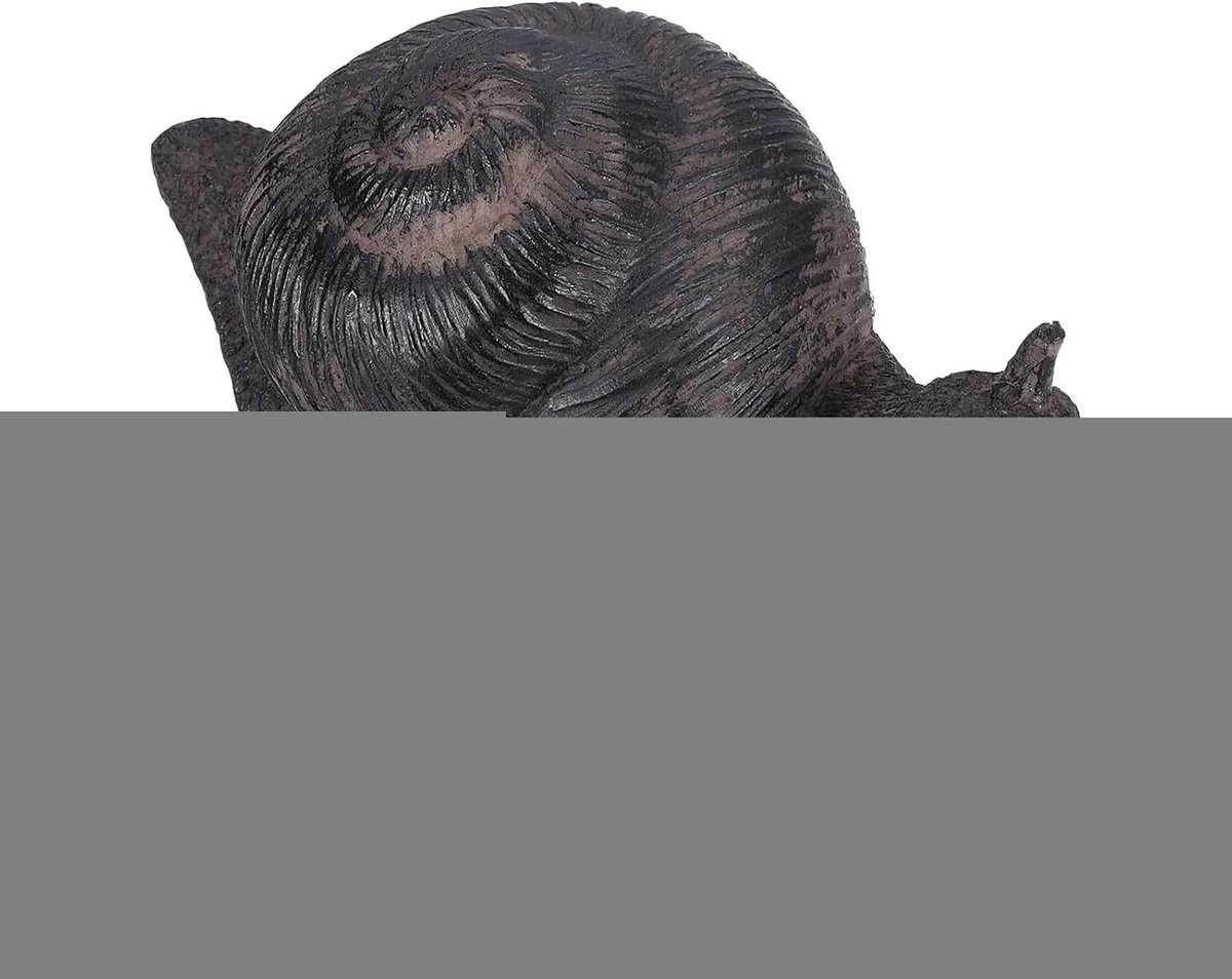 Geheime Opbergruimte - Afleidingskluis - Waardevolle Spullen - Realistische Textuur - 7 x 7.5 x 7 cm - Niet gespecificeerd
