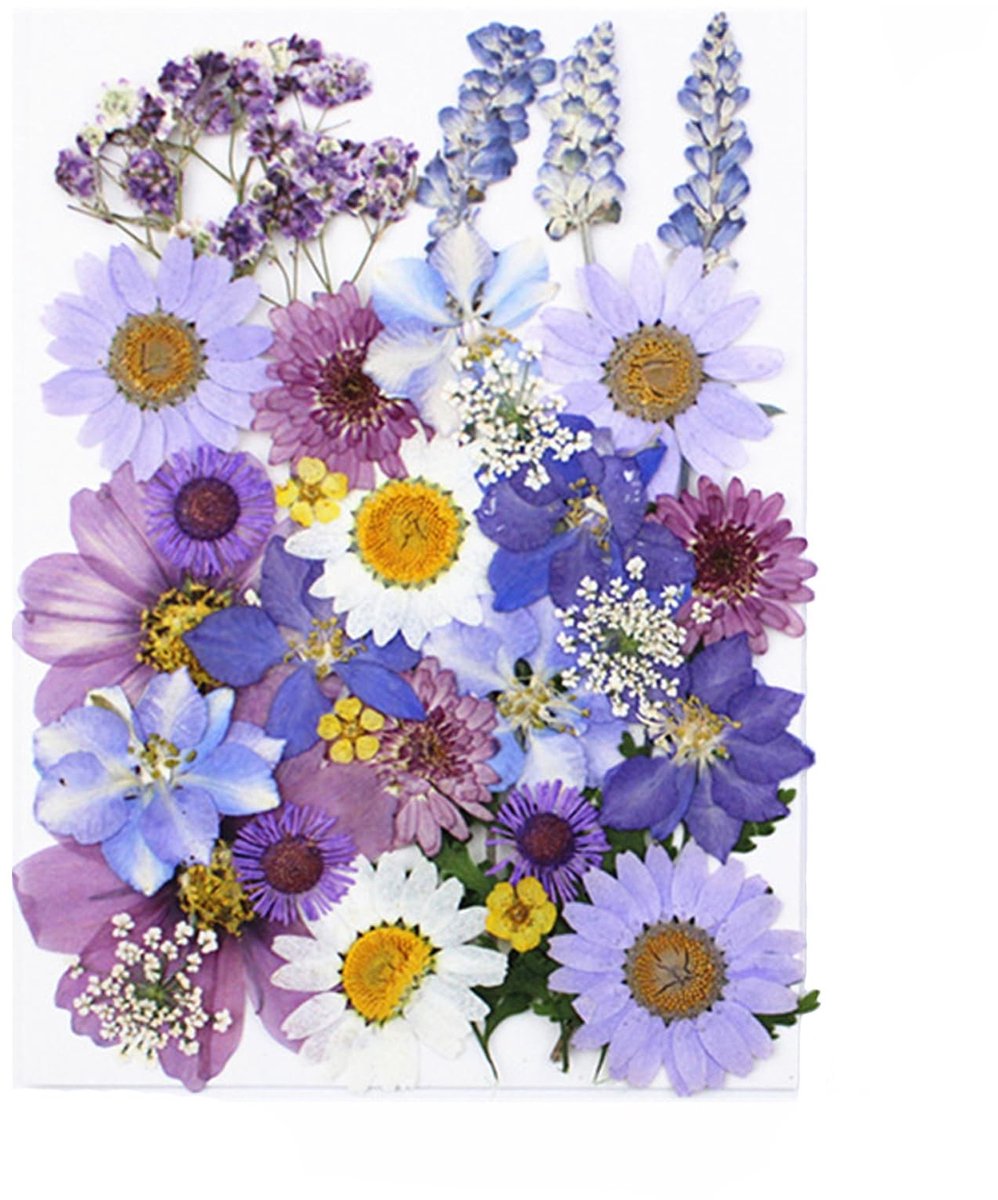 NTHProducts - Dried Flowers - Gedroogde Bloemen - Creatieve Decoratie - 33 Stuks - DIY Bloemen - Perfect voor Ambacht en Decoratie