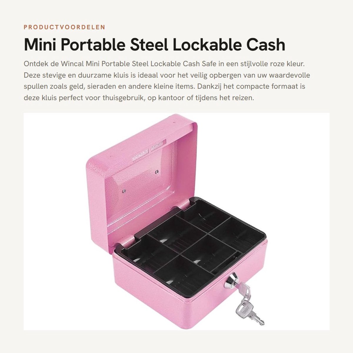 Dailygoods- Veiligheidsbox - Stalen Sleutelkast - 6 Compartimenten - Compact en Lichtgewicht - Ideaal voor Thuis en Kantoor - Inclusief 2 Sleutels - Geldkluis