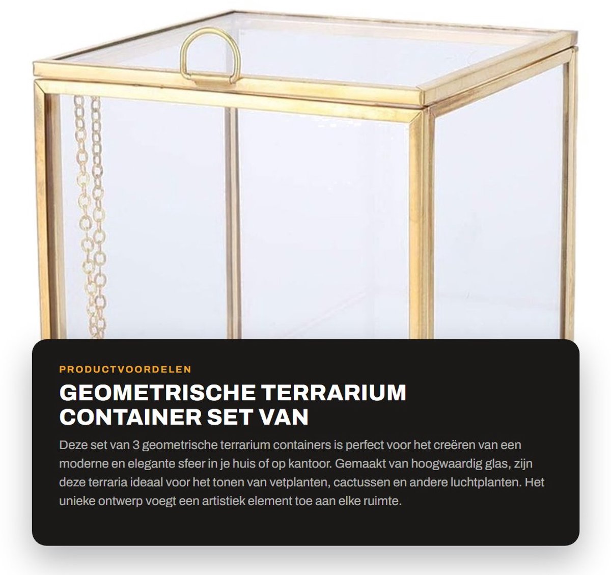 Dailygoods- Terrarium 3-voudig - Glazen Container - Geometrisch Design - Plantenbak voor Vetplanten - DIY Miniatuur Tuin - Onderhoudsvriendelijk Decor