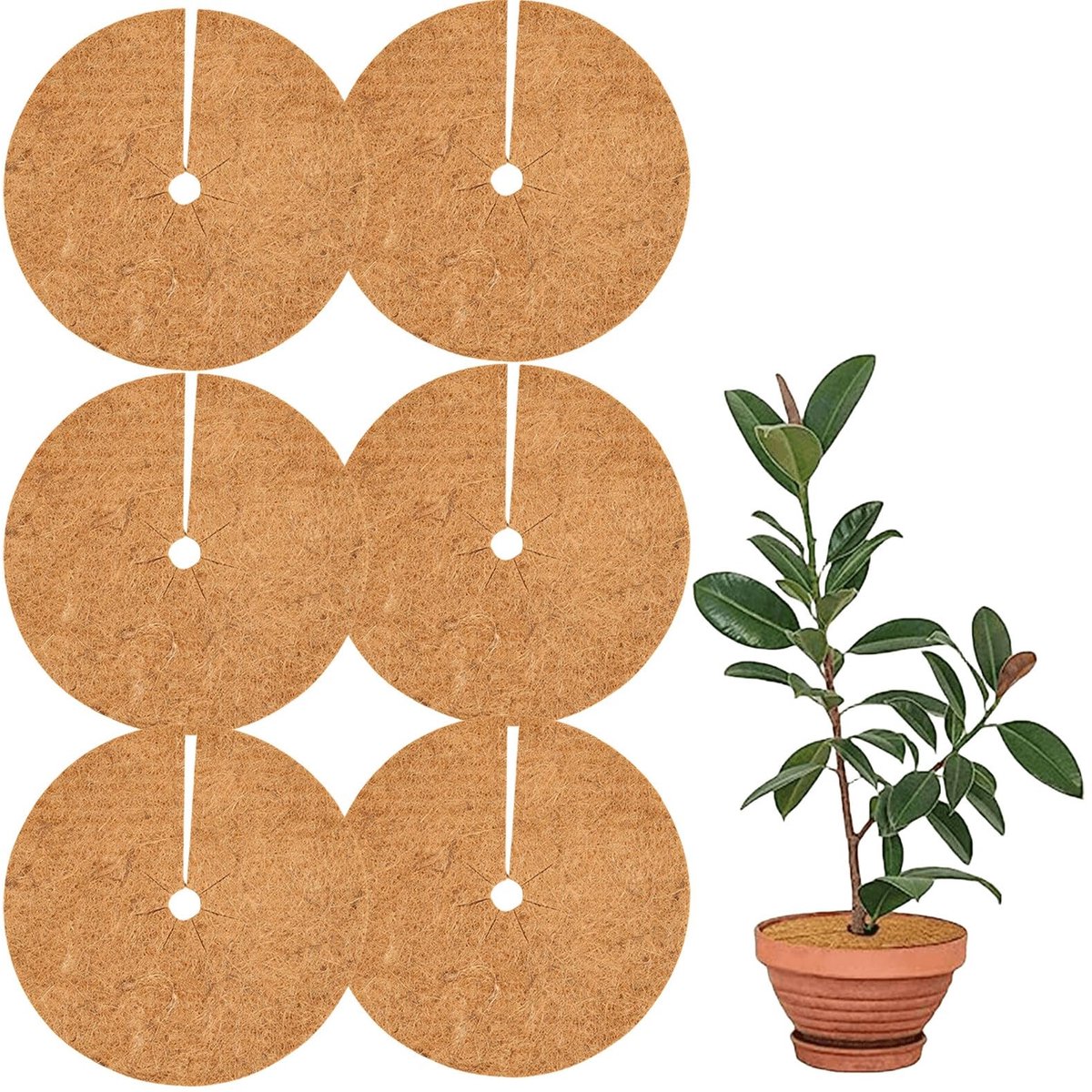 Dailygoods - Kokos-mulchschijven - Winterbescherming - 20 cm - Kokosvezel - Vorstbescherming voor potplanten - Geschikt voor vier seizoenen