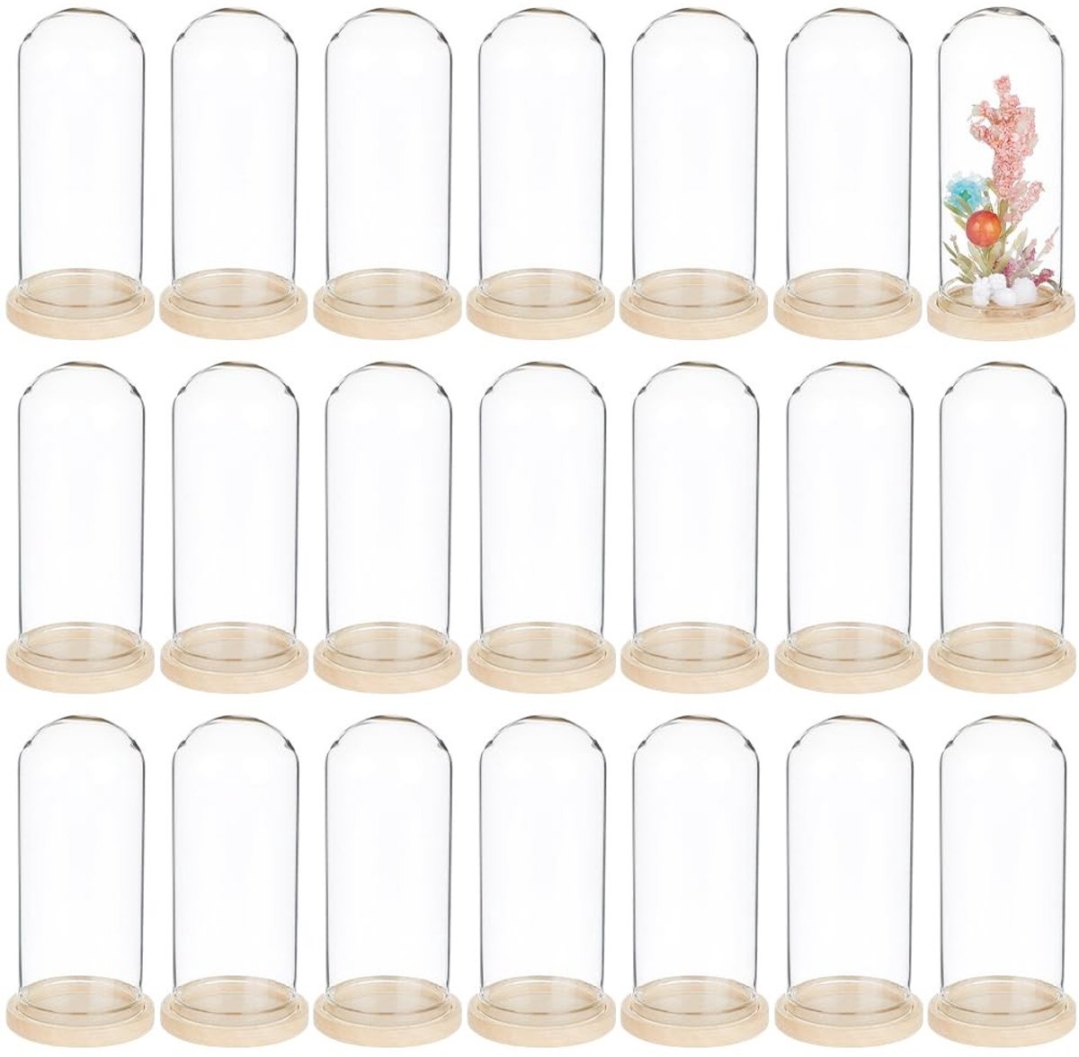 Dailygoods- Glazen Koepel 30 Stuks - Decoratieve Vitrinekast - Houten Basis - Bell Jar - Desktopweergave - Geschikt voor Sculpturen