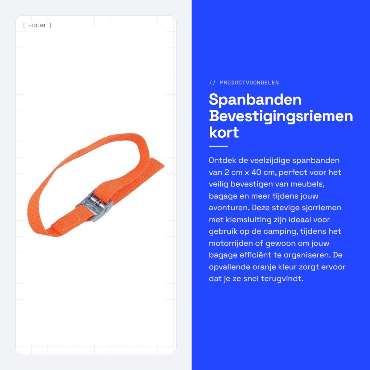 Dailygoods- Spanbanden 12 Stuks - 2 cm x 40 cm - Bevestigingsriemen - Sjorbanden - Klemsluiting - Duurzaam PP en Zinklegering - Sjorband