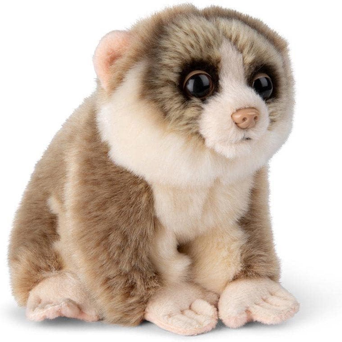 Pluche knuffel - Loris knuffeldier - Knuffelen en spelen - Levensecht vormgegeven - 18 cm - Meerkleurig