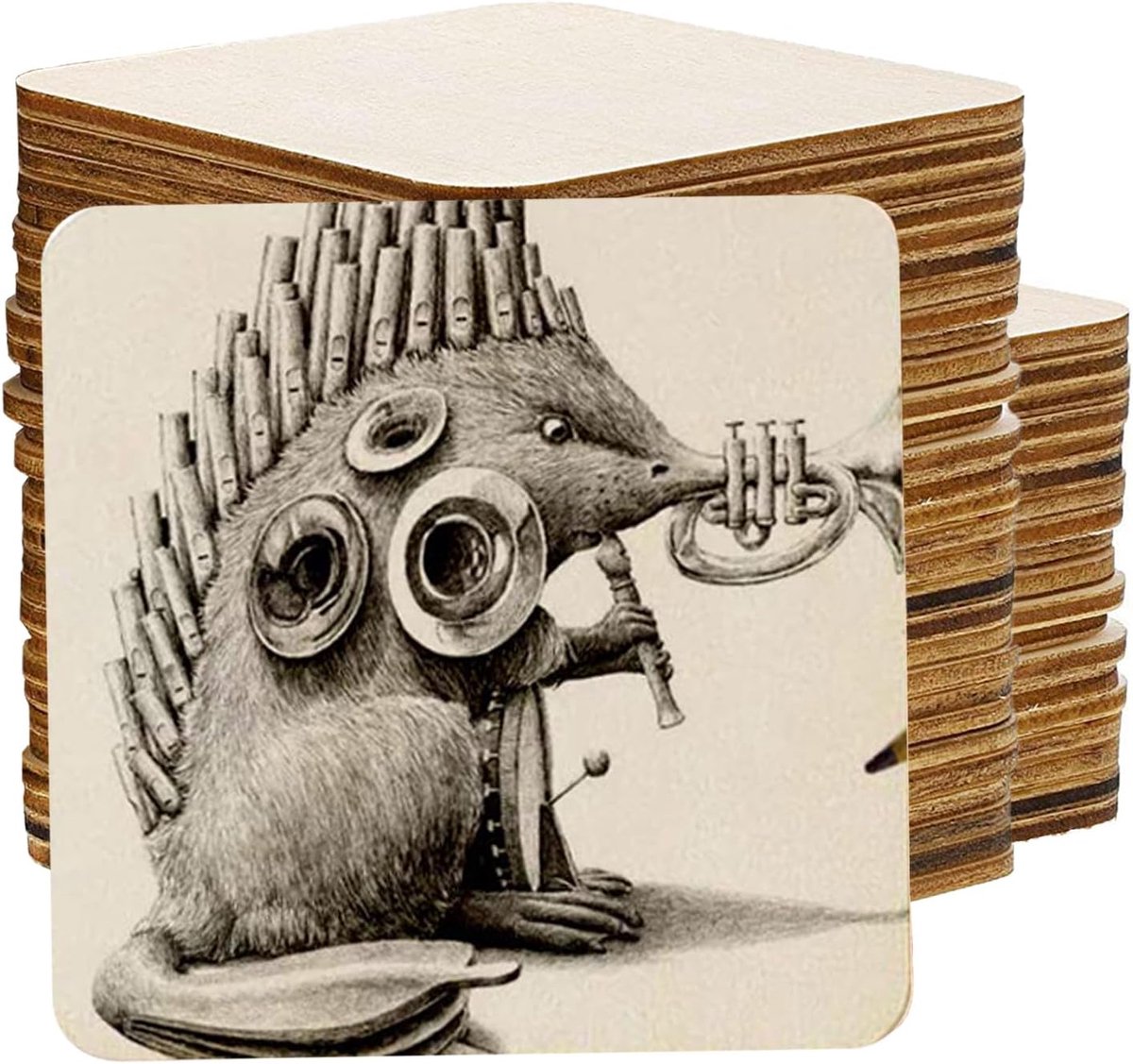 Houten Schijven - Houtplaten Knutselen - Decoratie en Handwerk - Glad en Gepoetst - 10 x 1