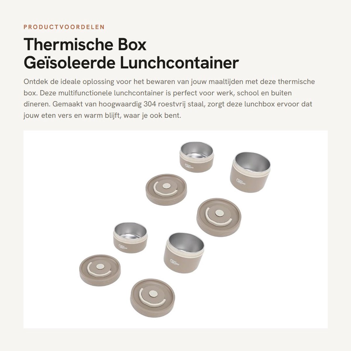Dailygoods- Thermische Box Lichtgewicht - Lunchbox RVS - Geïsoleerde Lunchcontainer - Goede Afdichting - Multifunctioneel Gebruik - Voor Buiten Dineren