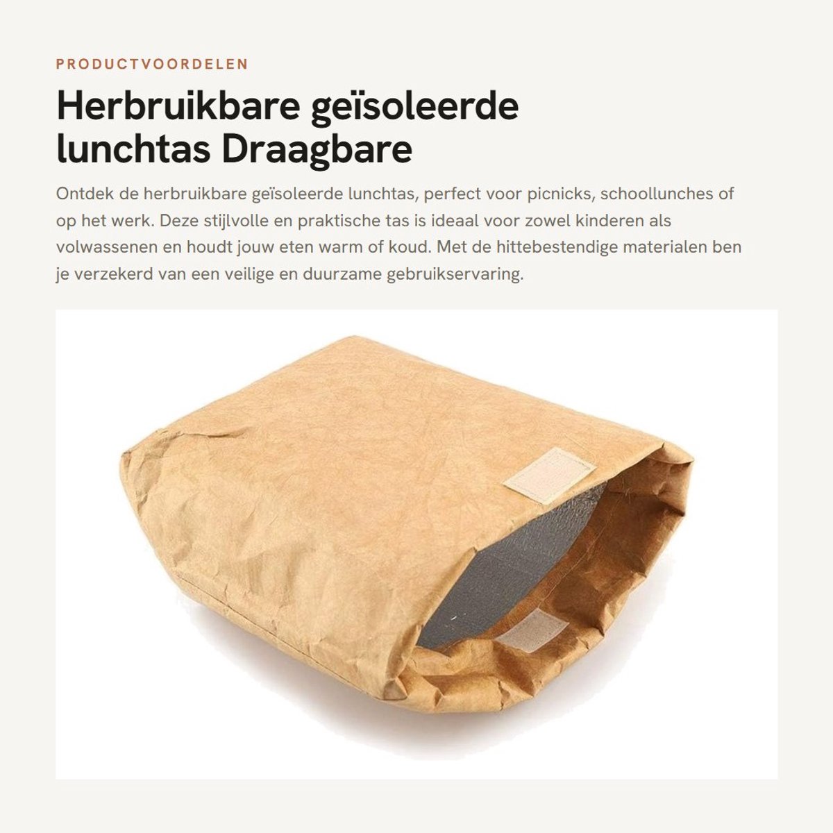 Dailygoods- Lunchtas Hittebestendig - Herbruikbare Isolatie - Opvouwbaar - Draagbaar - Boodschappentas - Voor Kinderen/Volwassenen - Lunchbox