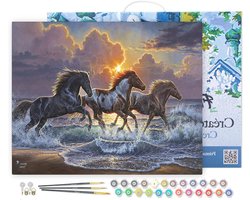 Schilderen op Nummer Kit - Acrylverf Set - Ontspannen Creativiteit - Canvas Al Ingelijst - 40x50 cm