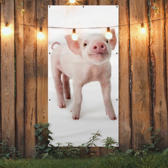 Affiche de clôture Cochon - Animaux - Wit - 100x200 cm - Toile de jardin