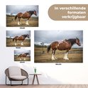 PDP.ProductImage.Thumb.Image.srtText 15