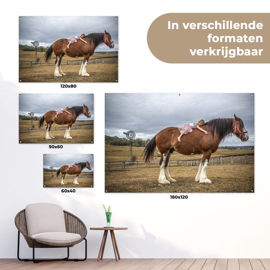 Posters de jardin Cheval - Fille - Prairie - 90x60 cm - Toile jardin