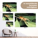 Verschillende maten tuinposters van een bruin vliegend hert op bladeren.