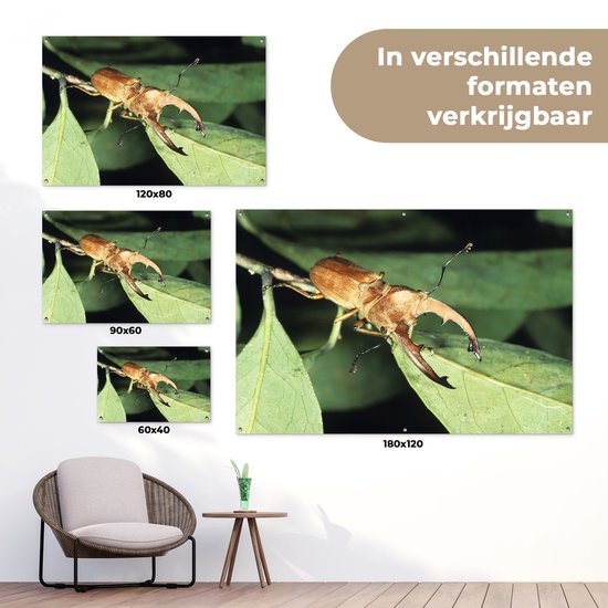 Verschillende maten tuinposters van een bruin vliegend hert op bladeren.
