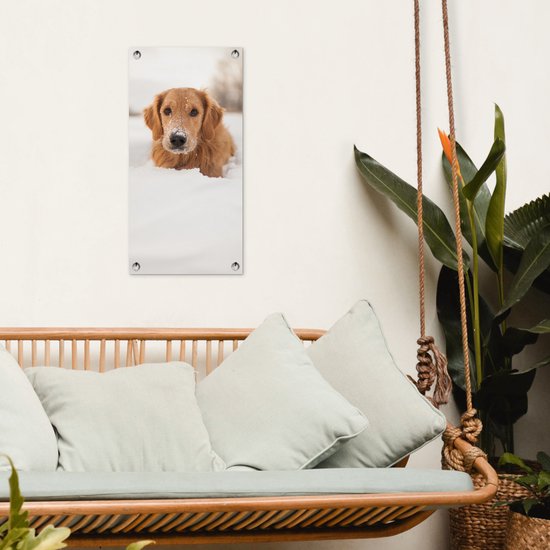 Affiche de jardin Chien - Neige - Hiver - 30x60 cm - Toile jardin - Affiche extérieure