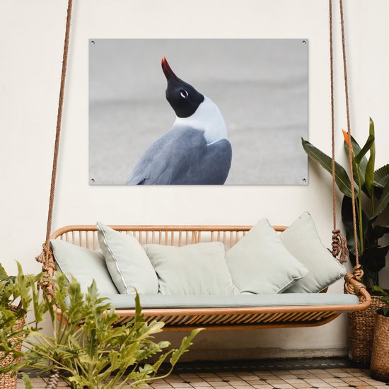 Poster Jardin mouette souriante 120x80 cm - Toile de jardin / Toile d'extérieur / Peintures d'extérieur (décoration de jardin)
