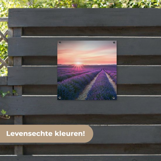 Tuinposter - Lavendel - Bloemen - Paars - Tuin - 50x50 cm - Tuinschilderij - Schuttingdoek - Tuindecoratie