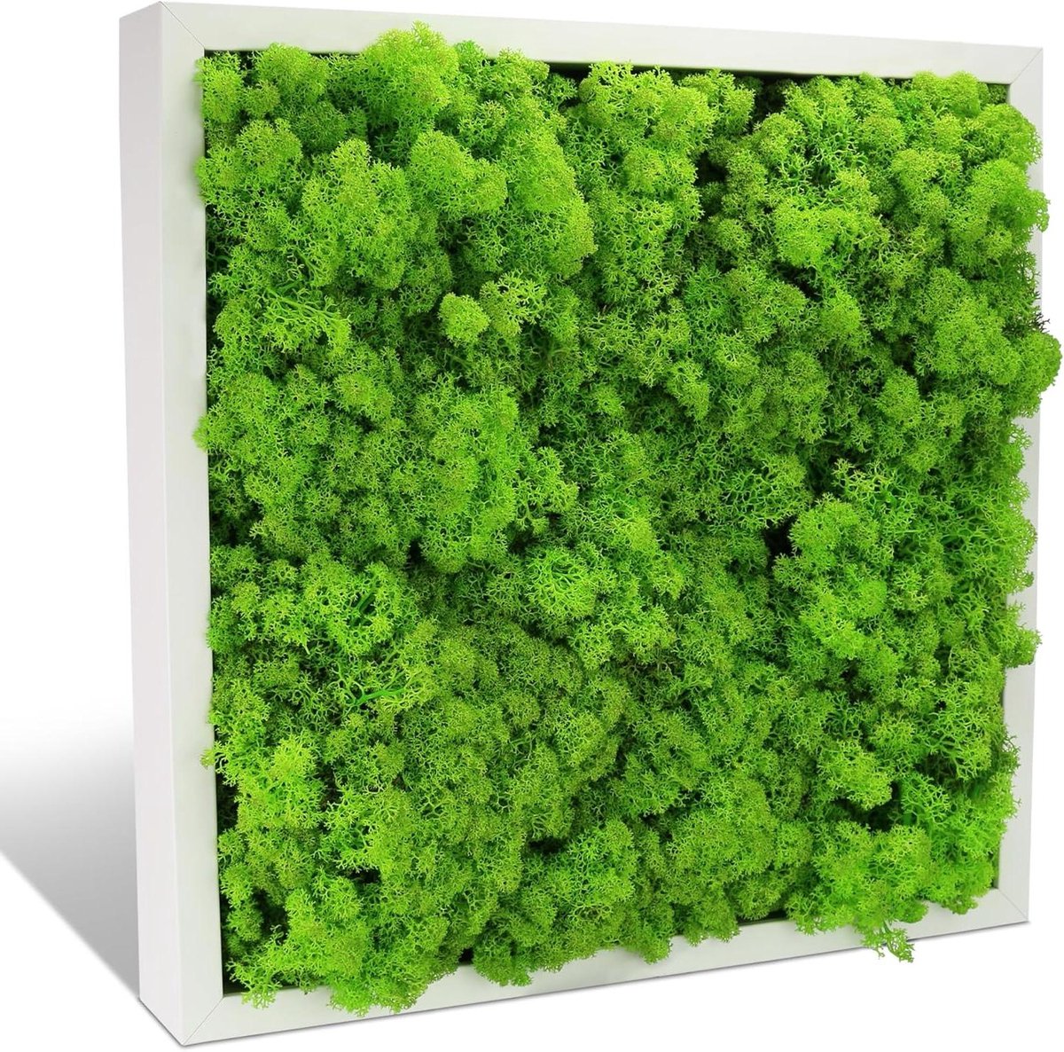 Moswanddecoratie - Moskunst Wandkleed - Natuurlijke Sfeer Creëren - Echt Geconserveerd Mos - 51 x 51 cm - Groen