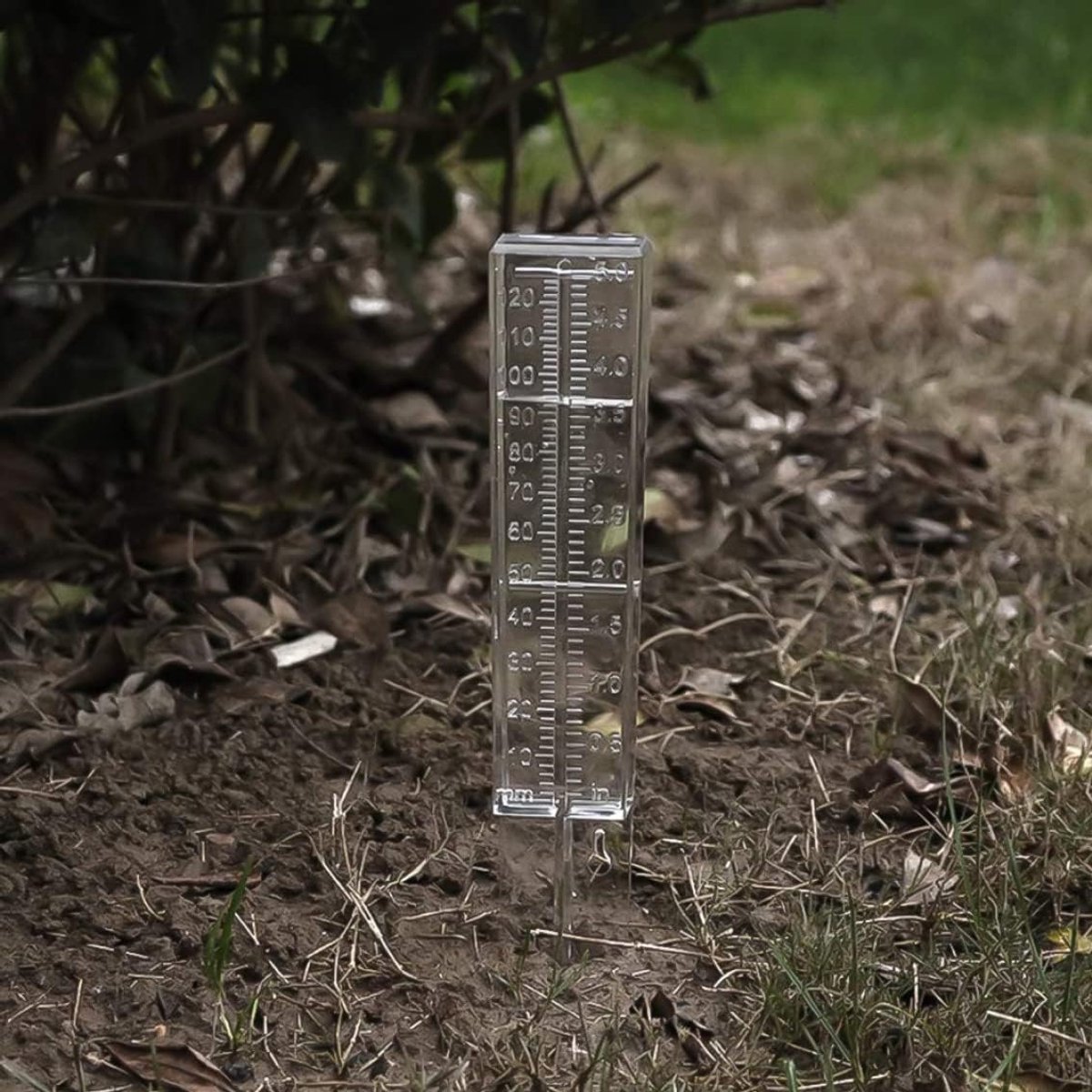 Regenmeter Tuin - Regenmeter Bak - Regenval Meten - Dubbele Schaal - 120 mm - Transparant