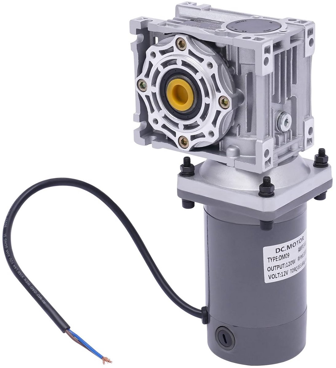Elektrische DC Motor met Hoge Koppel en Variabele Snelheid