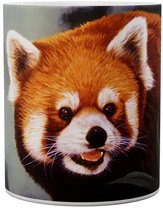 Rode Panda Hiding Out - Red Panda - Mok 440ml 440