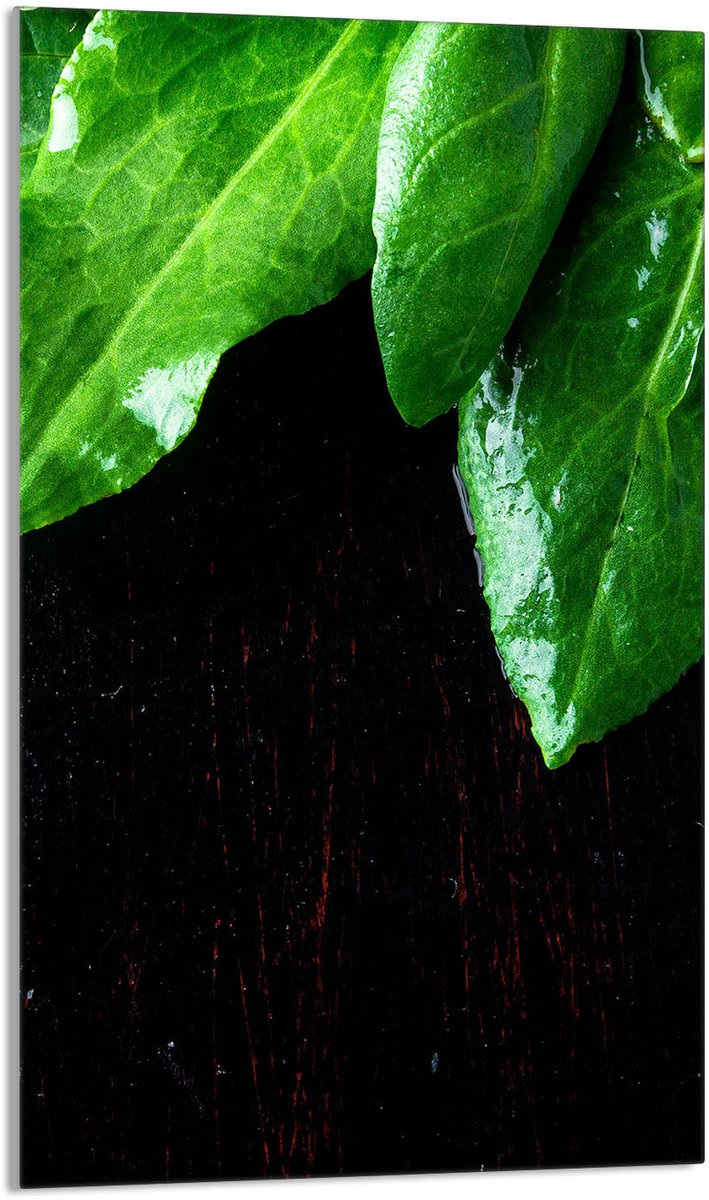TMK ArtDeko Serie - Snijplank - Glas - 30x52cm - Basilicum