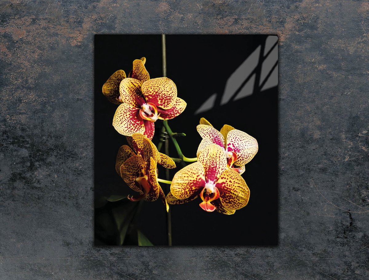 TMK ArtDeko Serie - Snijplank - Glas - 45x52 cm - Orchidea