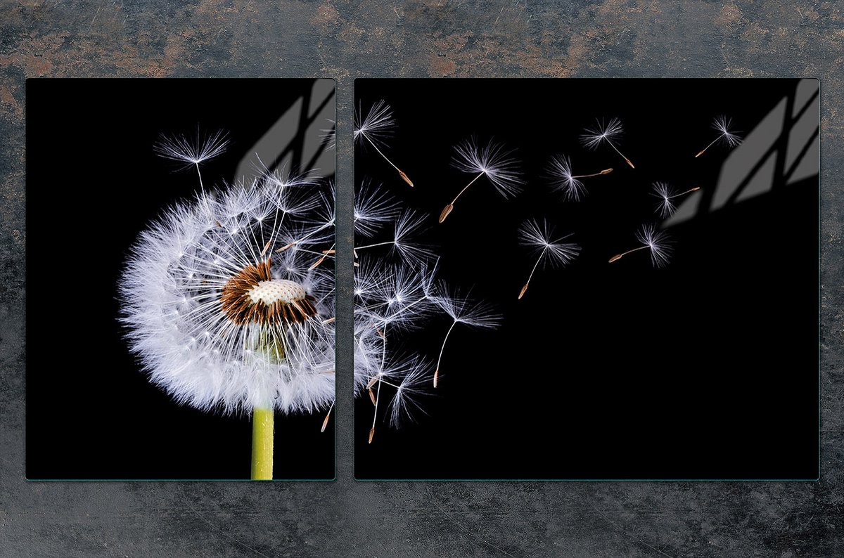 TMK ArtDeko - Snijplank en Beschermpaneel - Glas - 100x52 cm - Kleur Kwiat