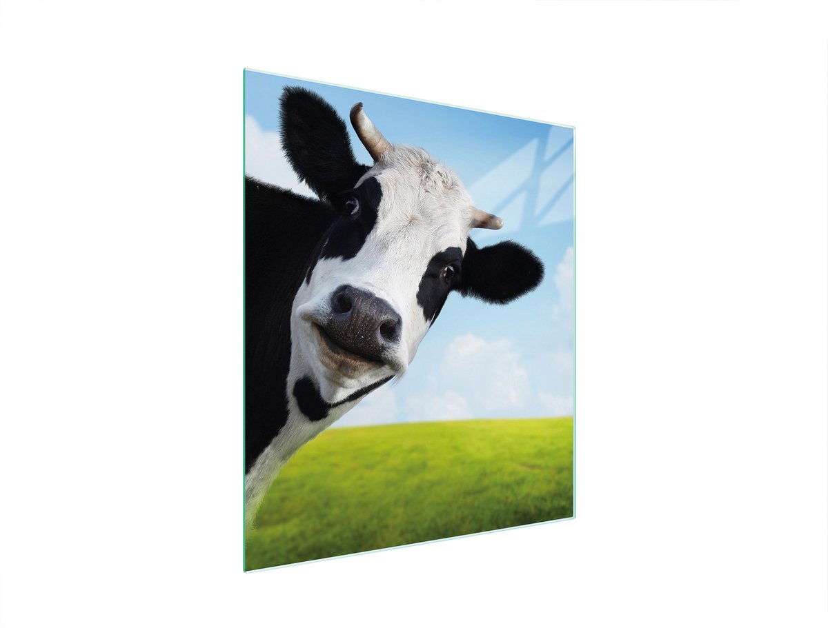 TMK ArtDeko - Snijplank - 45x52 cm - Kleur Krowa - Glas