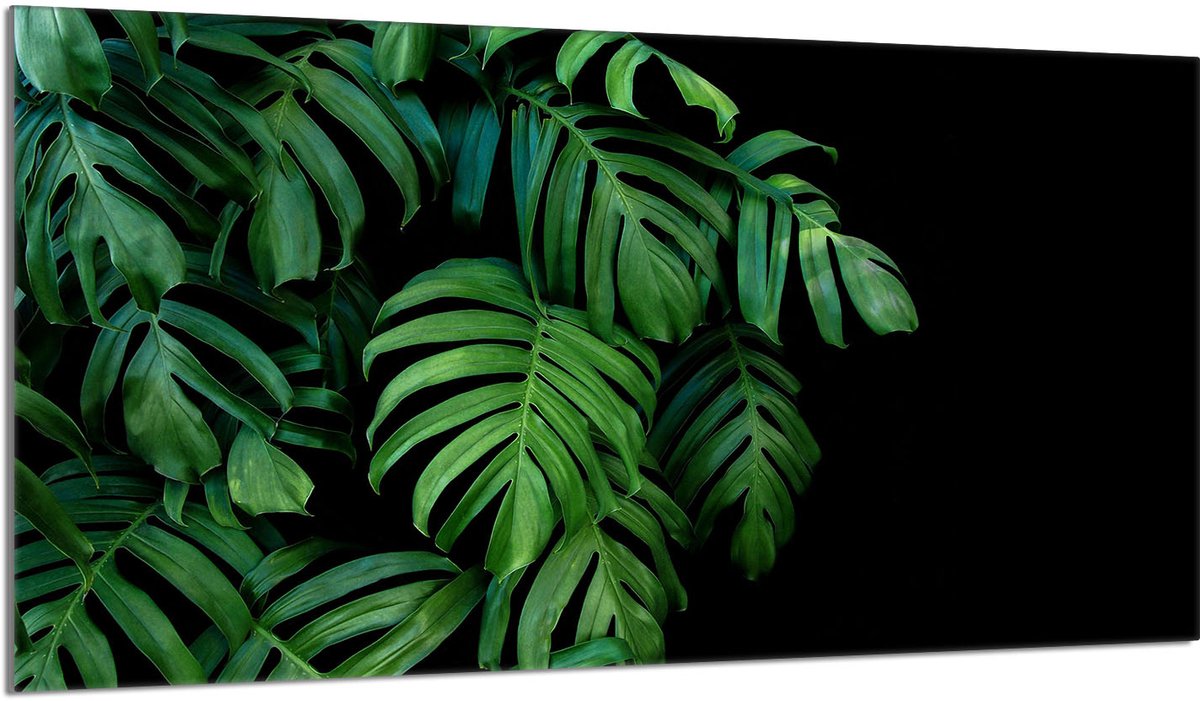 TMK ArtDeko Serie - Snijplank - Glas - 90x52 cm - Veilig en Hygiënisch