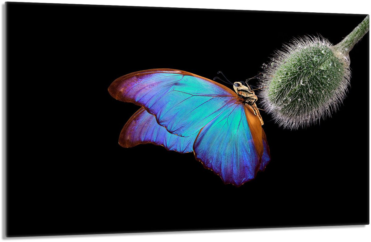 TMK ArtDeko - Snijplank - Glas - Motief - 80x52 cm
