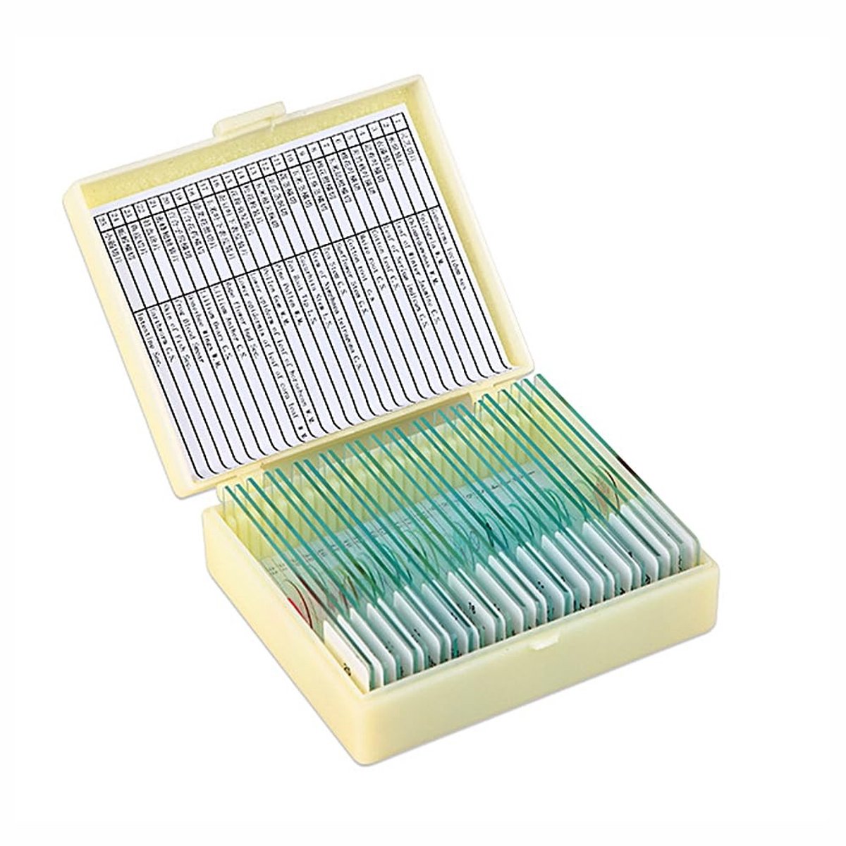 Dailygoody - Microscoopglijbanen set - 25 stuks - Voor biologisch onderwijs - Houten koffer - Dieren insecten planten monsters - Geschikt voor sc