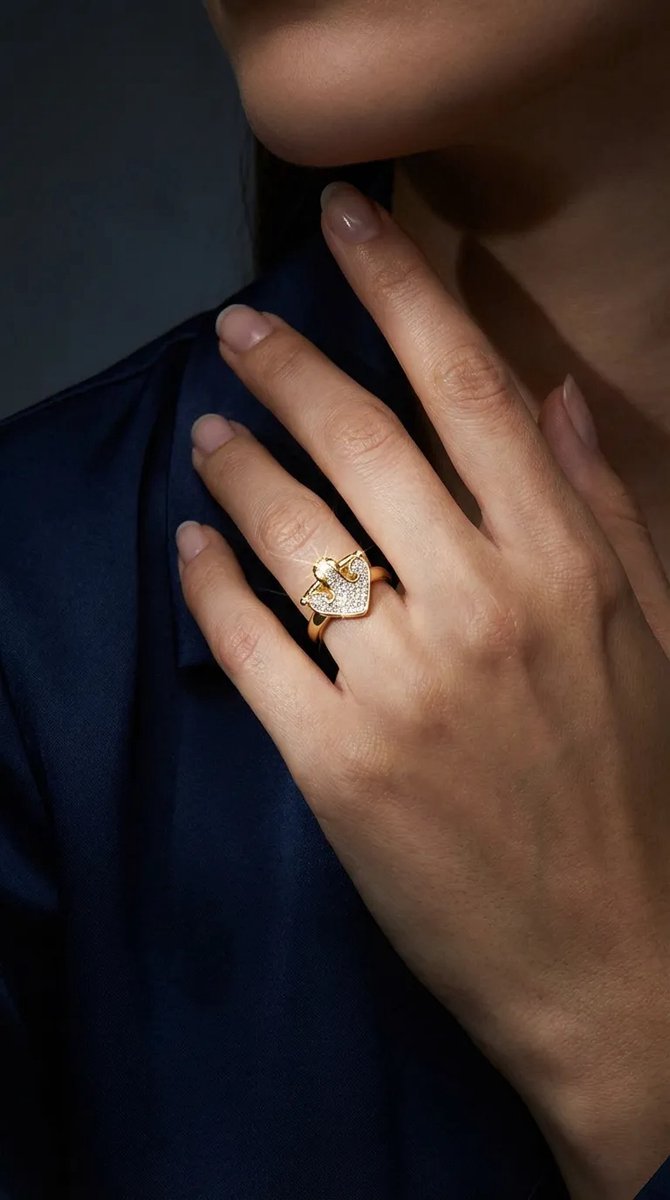 Dorvina Staal Sieraad Goudkleurig Zirkonia Ok Design Verstelbaar Dames Ring