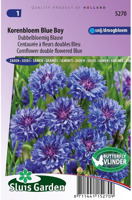 Sluis Garden - Korenbloem Blue Boy, dubbelbloemig