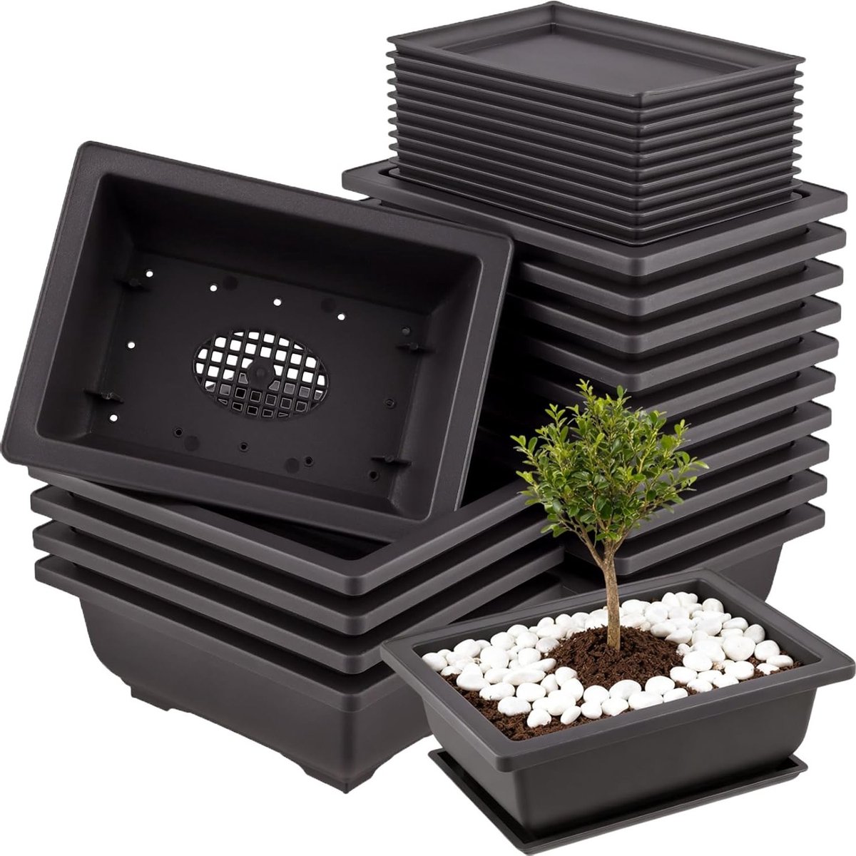 15-delige Bonsai Potset met Drainagegaten en Schalen, Ideaal voor Woonkamer, Kantoor en Tuin