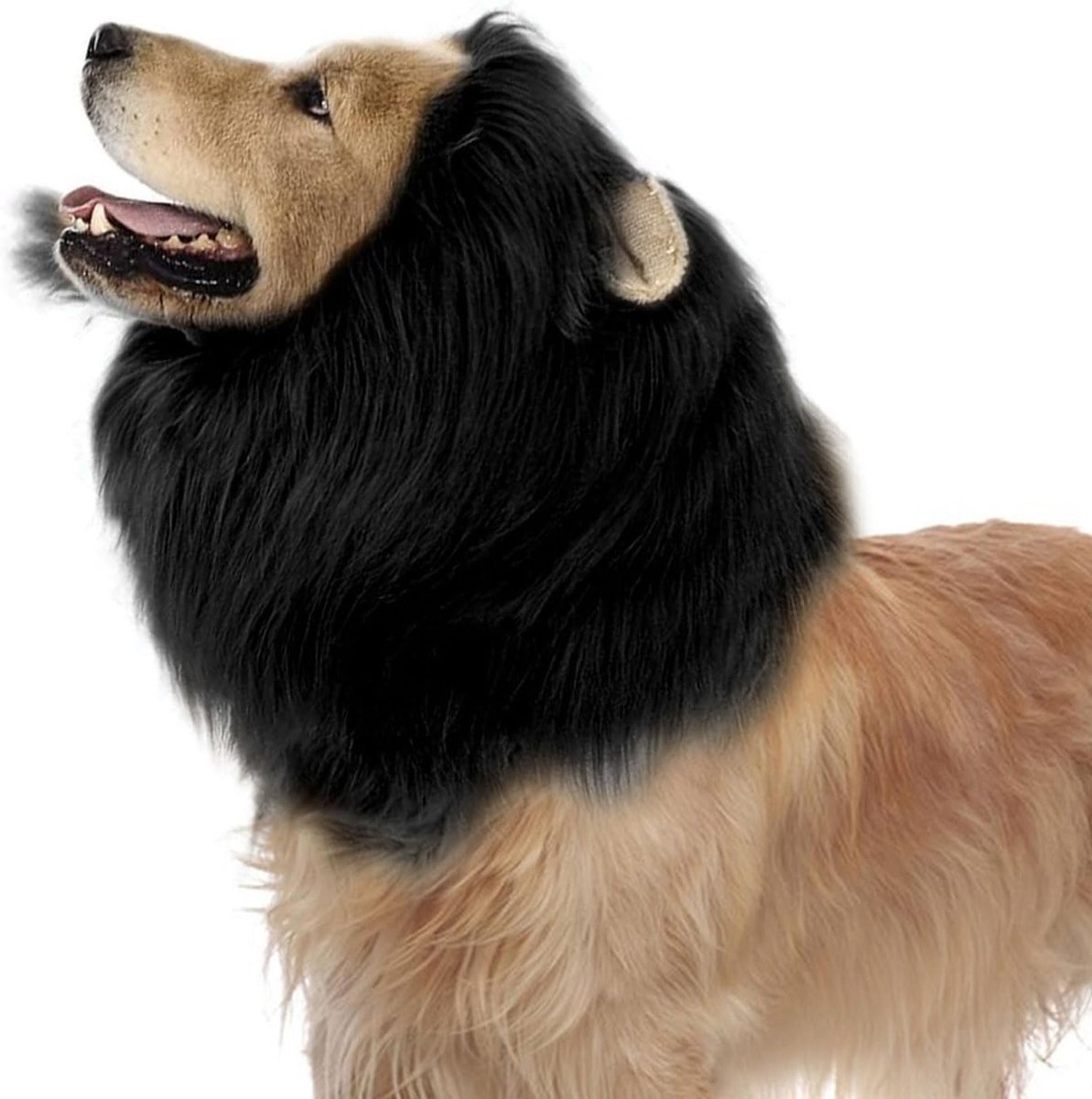 Lionschuiling voor Honden en Katten, Verstelbaar Kostuum met Oren voor Huisdieren (Zwart)