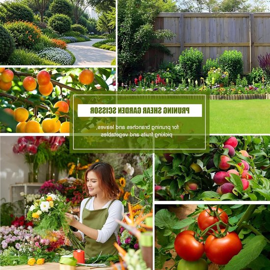 Dailygoods- Plantenschaar - Snoeischaar - Takkenschaar - Oogstschaar - Voor Tuin/Bonsai - Geschikt voor Planten/Bloemen/Rozen van Dailygoods — afbeelding 5