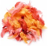 10 grammes de nuances décoratives de décoration de rouge