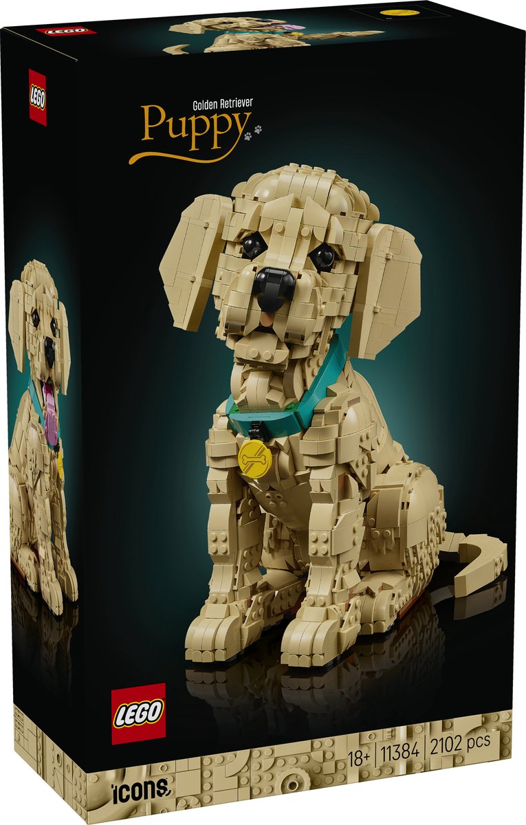 LEGO® Icons Golden Retriever Puppy - Decoratieve Dierenfiguur - Bouwset voor Volwassenen - 11384 — afbeelding 16