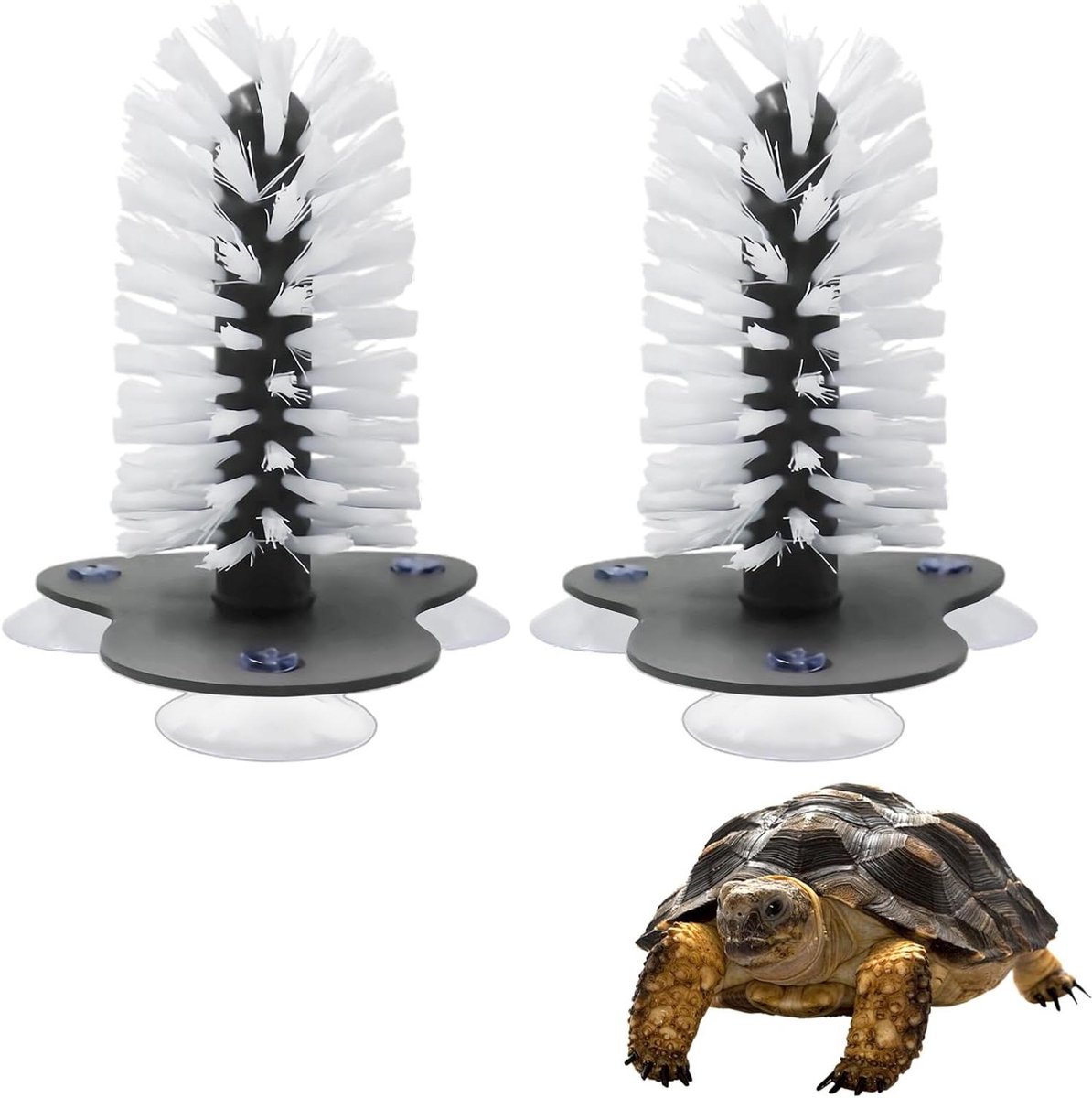 Schildpadborstel Set - Reptielen Borstel - Tank Onderhoud - Met Zuignappen - 2 Stuks - Grijs