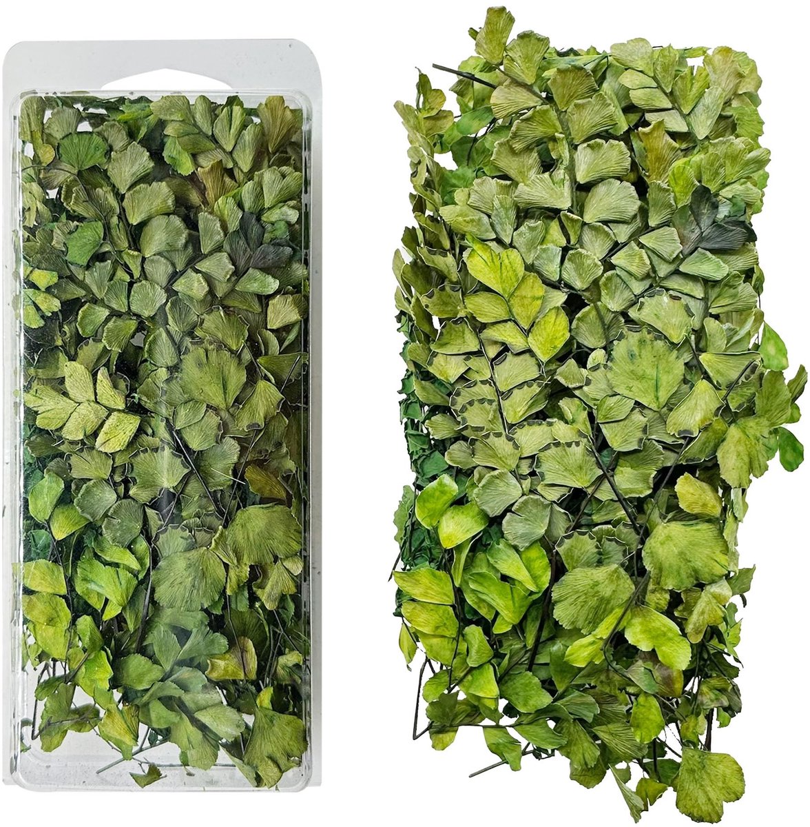 SPHProducts - Woohome Model landschap blad - Realistische miniatuur bladeren - Ideaal voor modelbouw - Donkere kleur - Miniatuur landschap - Perfect v