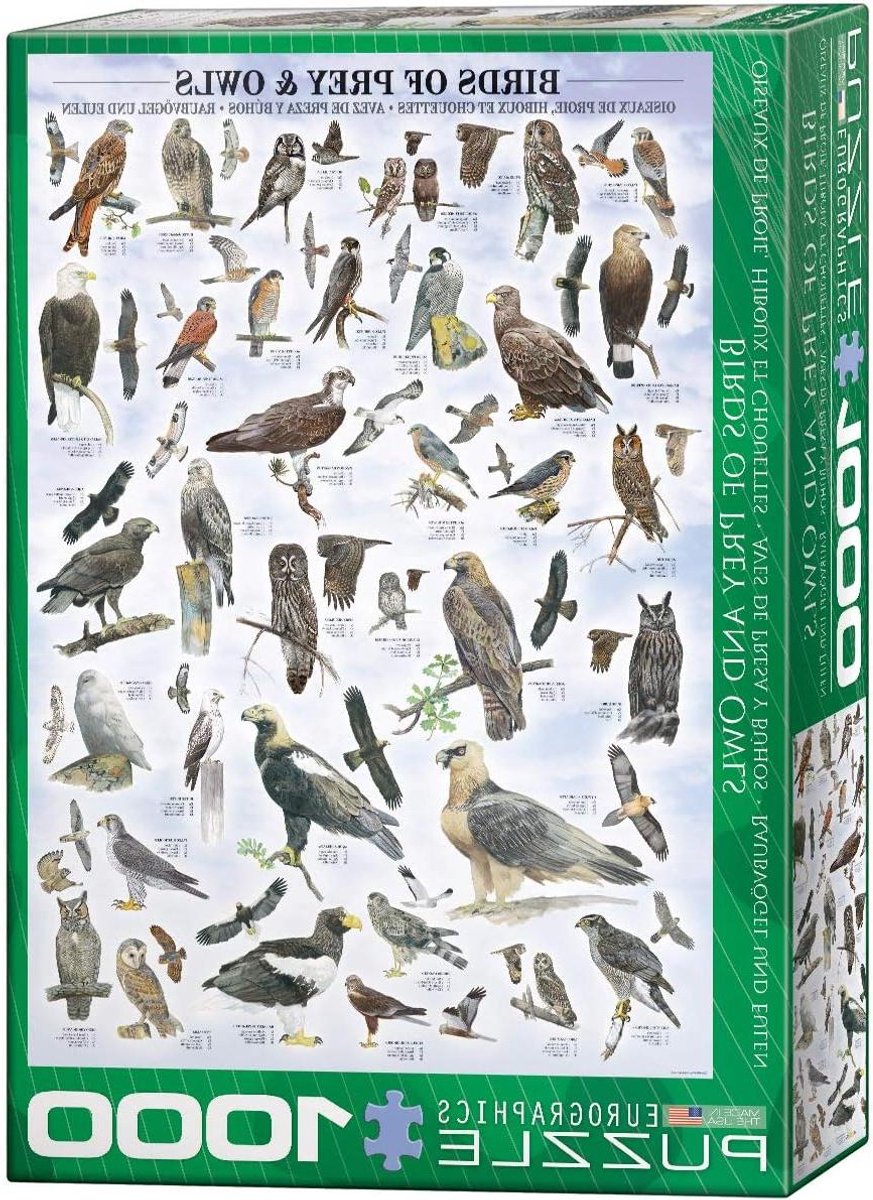 Legpuzzel Roofvogels - Vogelpuzzel Uilen - Ontspannen Puzzelen - Gerecycled Karton - 1000 Stukjes - Meerkleurig