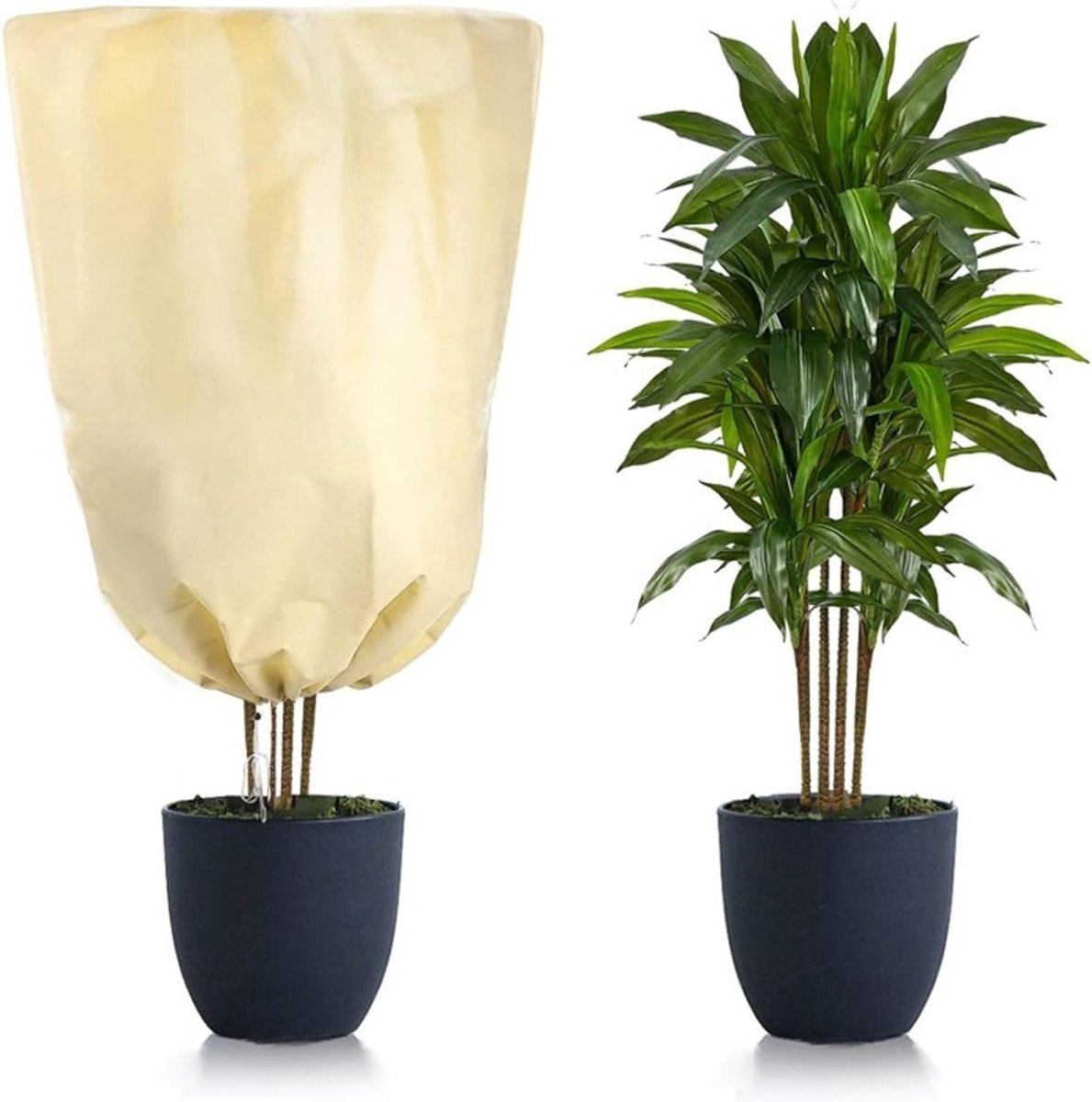Winterafdekking voor planten, 80 x 120 cm, herbruikbare vorstbescherming met ritssluiting en trekkoord, ideaal voor potplanten en bomen, 2 stuks