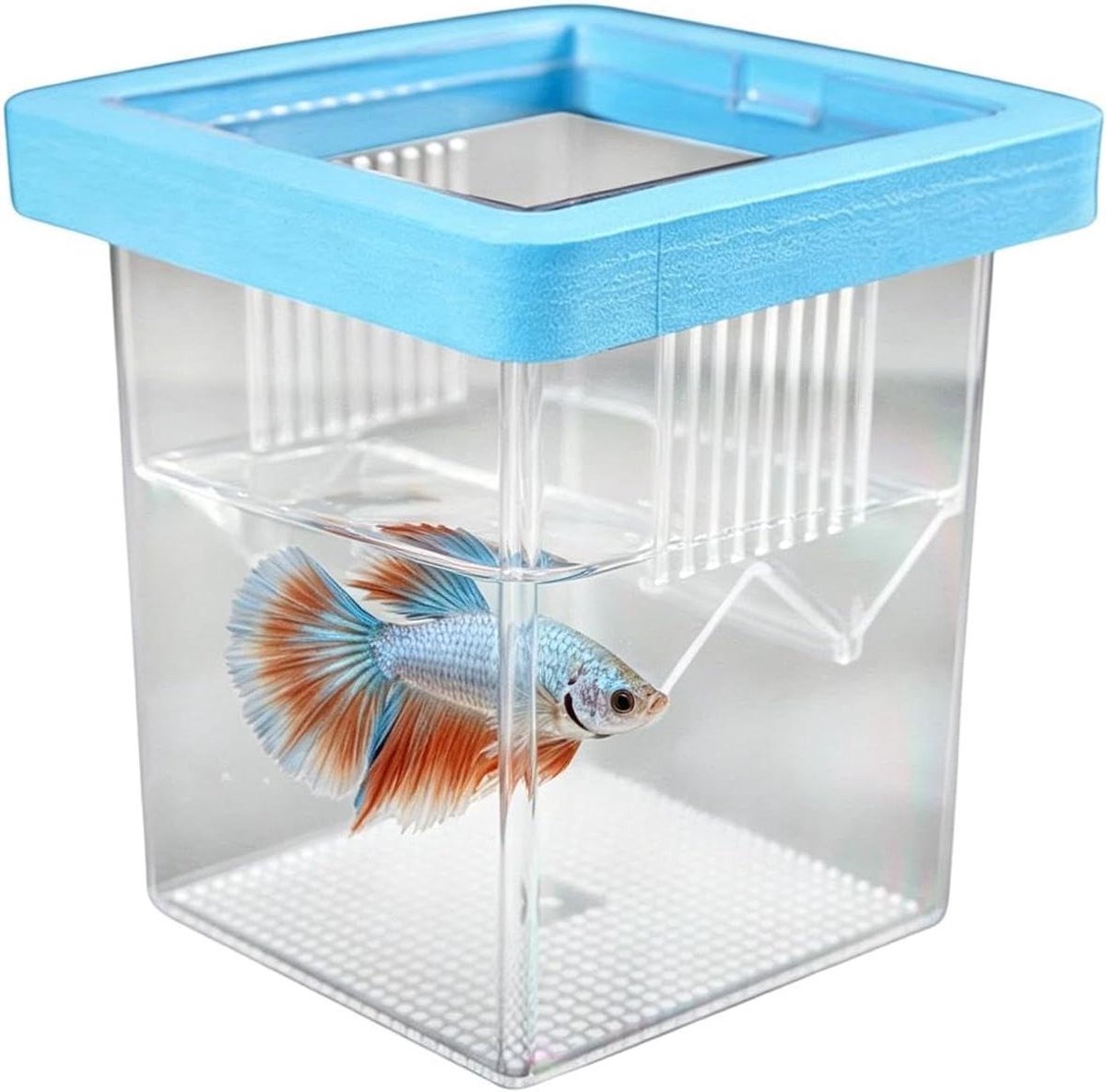 Aquarium Kweekbox - Incubator Vis Quarantaine Bak - Vis Kweek - Verstelbare Scheidingswand - 8.6 x 8.6 x 11 cm
