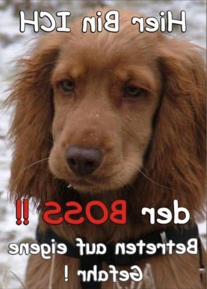 Deurbordje Achtung Hond - Waarschuwingsbordje Cocker - Huis Beveiligen - Gelamineerd Schild - DIN A5 - Multicolor