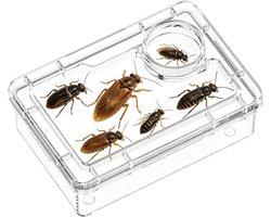 Voedingsschaal Reptielen - Voerbakje Terrarium - Orde Houden - Ontsnappingsvrij Ontwerp - 95x7 cm - Wit