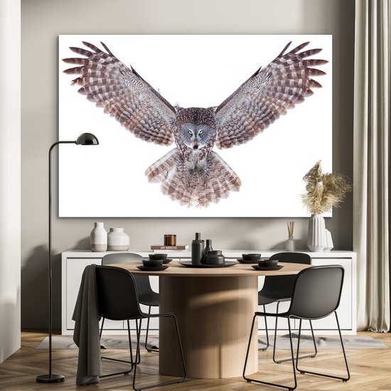 Décoration murale Métal - Peinture Aluminium - Hibou volant - 150x100 cm