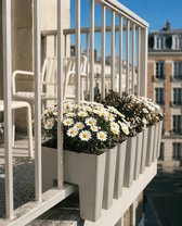 Vercony - Plantenbak voor Balkon met Spijlen - Plantenbak voor Buiten - Binnen en Buitenkant Beplant - Recyclebaar - 30x34x30cm - Made in NL - Zijdegrijs