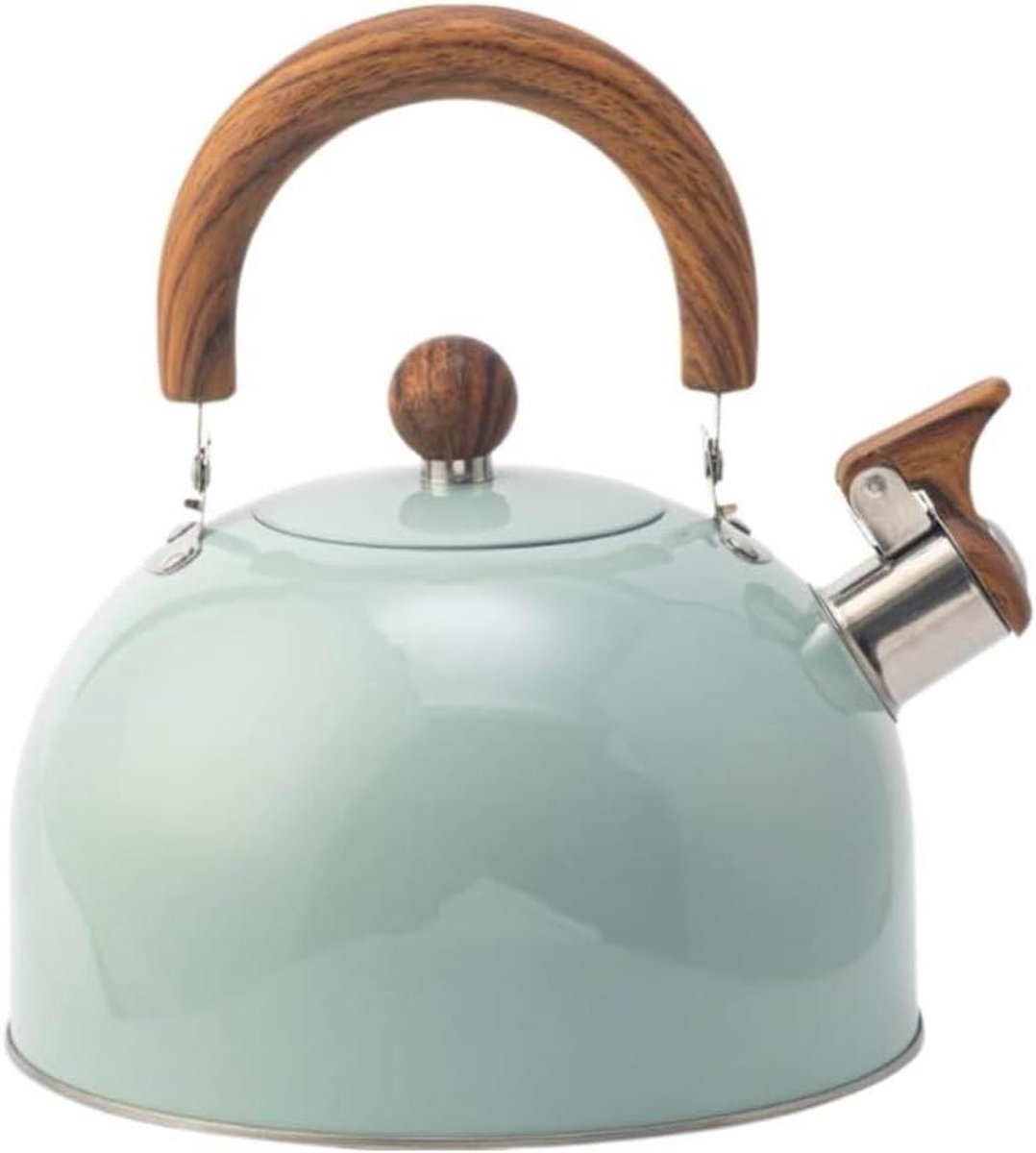 Waterketel Fornuis - Theepot Fluitketel - Water Koken - Roestvrij Staal - 3L Inhoud - Groen