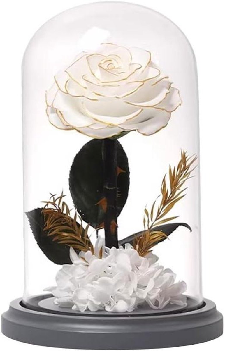 Eeuwige Roos - Geconserveerde Bloem - Romantische Decoratie - Handgemaakt Arrangement - 3 kg - Wit Goud